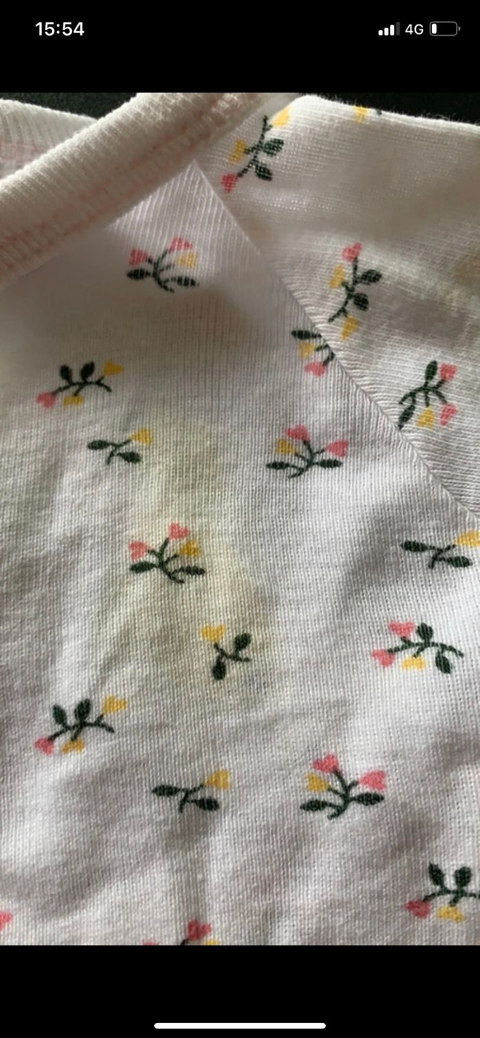 Bodie 3 mois - photo numéro 2