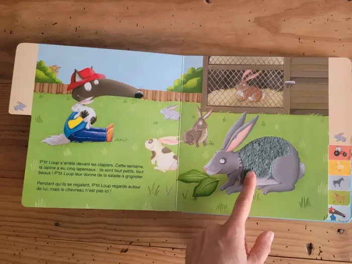 Livre cartonné à toucher P'tit Loup à la ferme - photo numéro 10