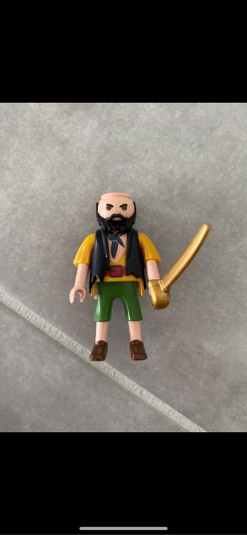 Pirate Playmobil