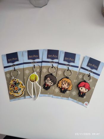 Lot porte-clés Harry Potter