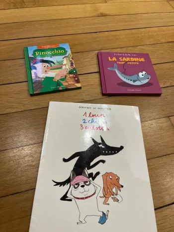 Lot 3 livres enfant