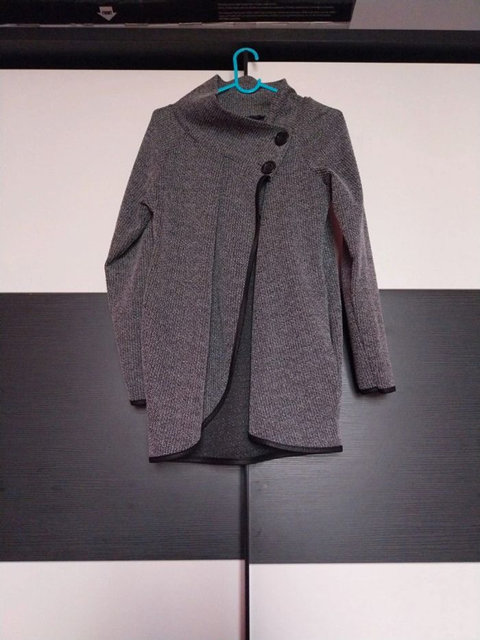 Gilet gris - photo numéro 2