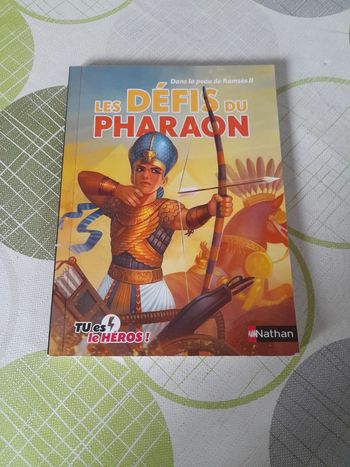 Livre dont tu es le héros : les défis du pharaon