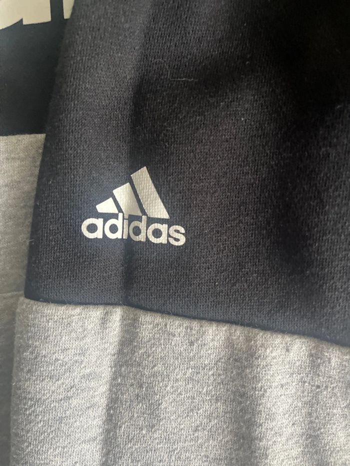 Joli sweat - photo numéro 4