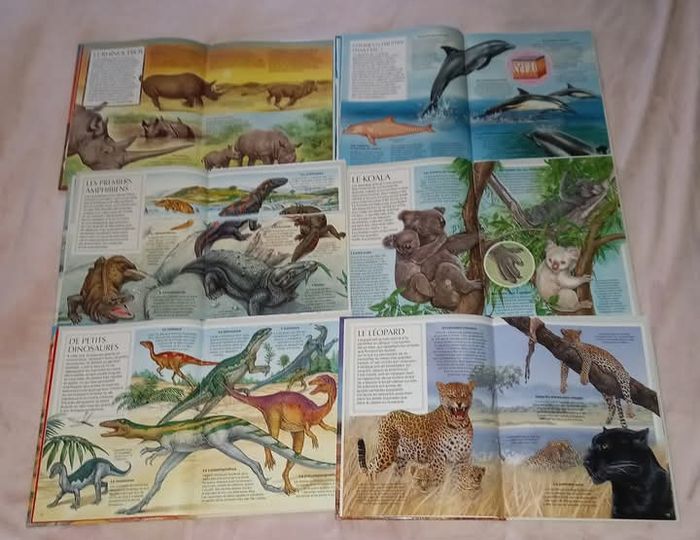 Lot 6 livres la grande imagerie - photo numéro 2