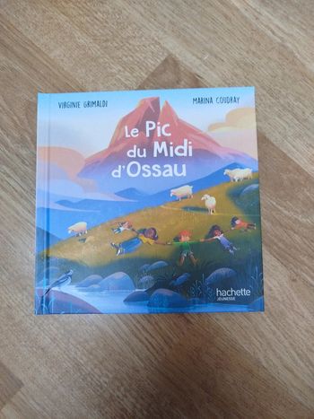 Le pic du midi d'Ossau