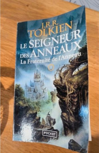 Livre le seigneur des anneaux 