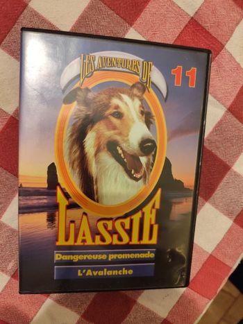 Les aventures de Lassie 11