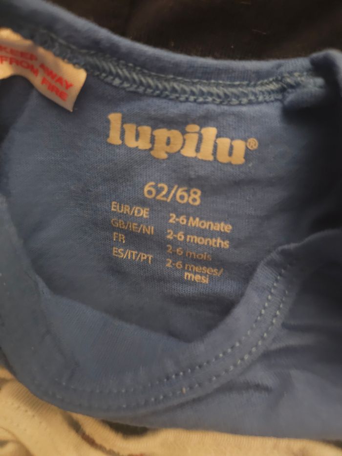 Lot de 5 bodies manches courtes 2-6M - photo numéro 3