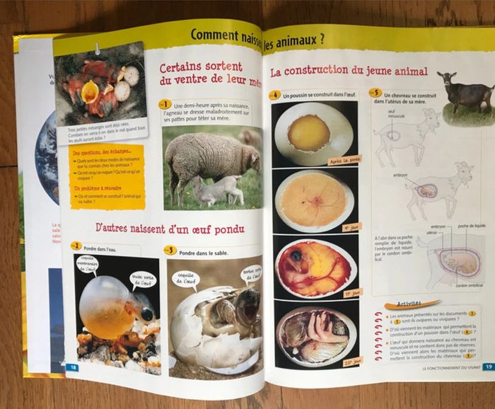 Sciences - Manuel de l'élève CE2 - collection Tavernier - photo numéro 3