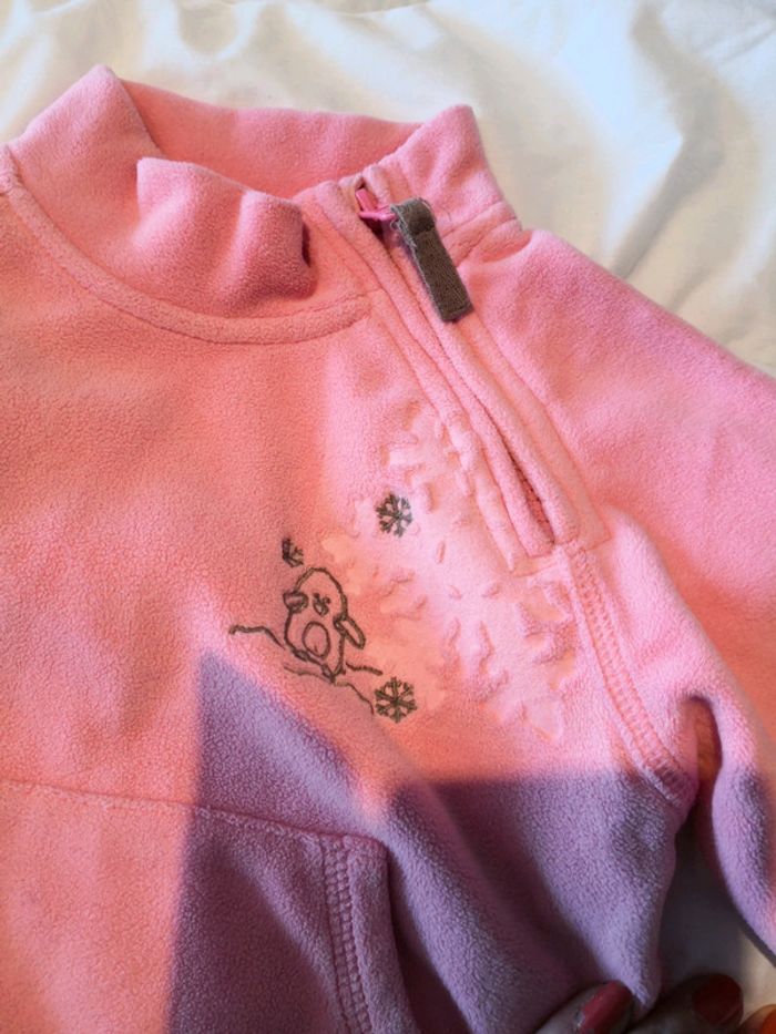 Polaire oiseaux - photo numéro 2