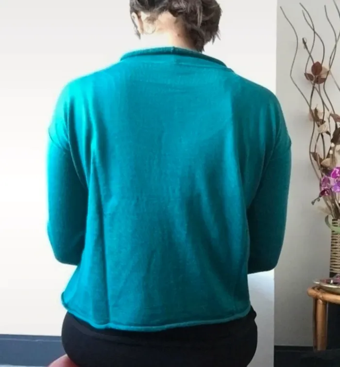 Pull Miss Captain - photo numéro 2