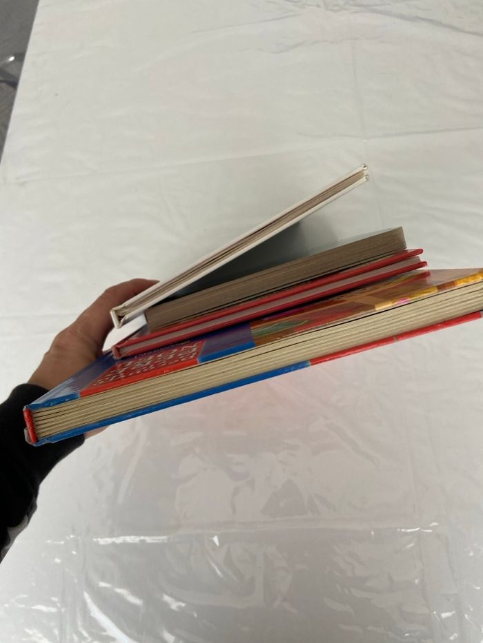 Lot de 4 livres enfants sur le thème de Noël - photo numéro 4