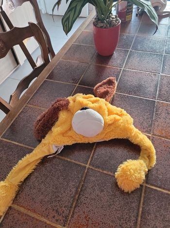 Bonnet enfant et adolescent mixte chien