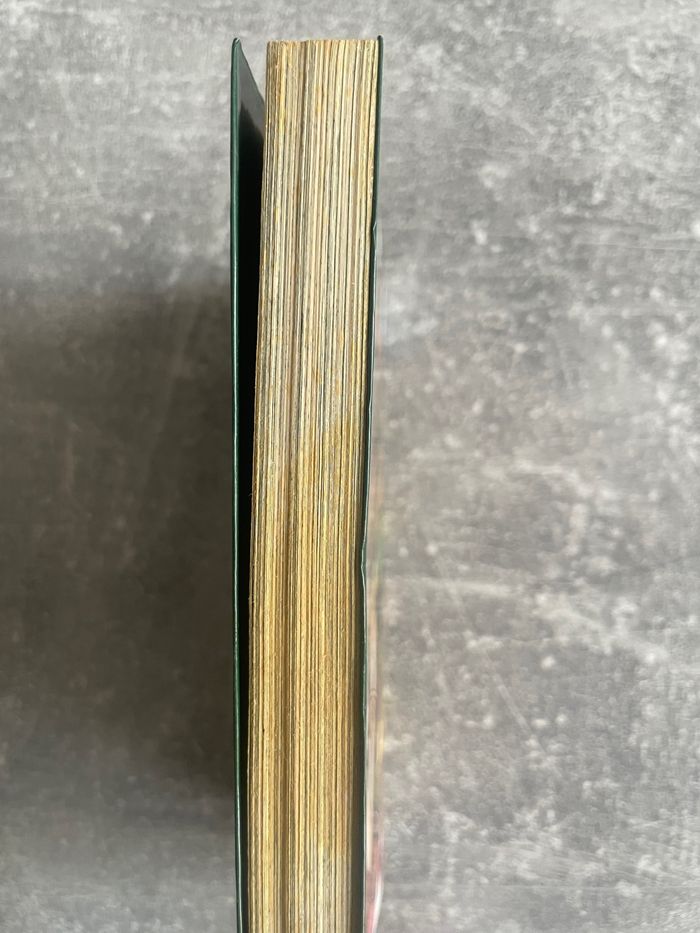 Manga Tsubasa reserve chronicle, tome 1 en version française. - photo numéro 2