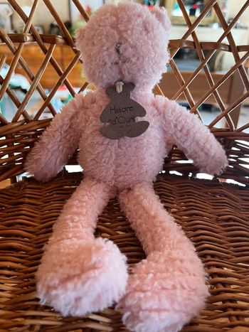 Chat rose histoire d’ours