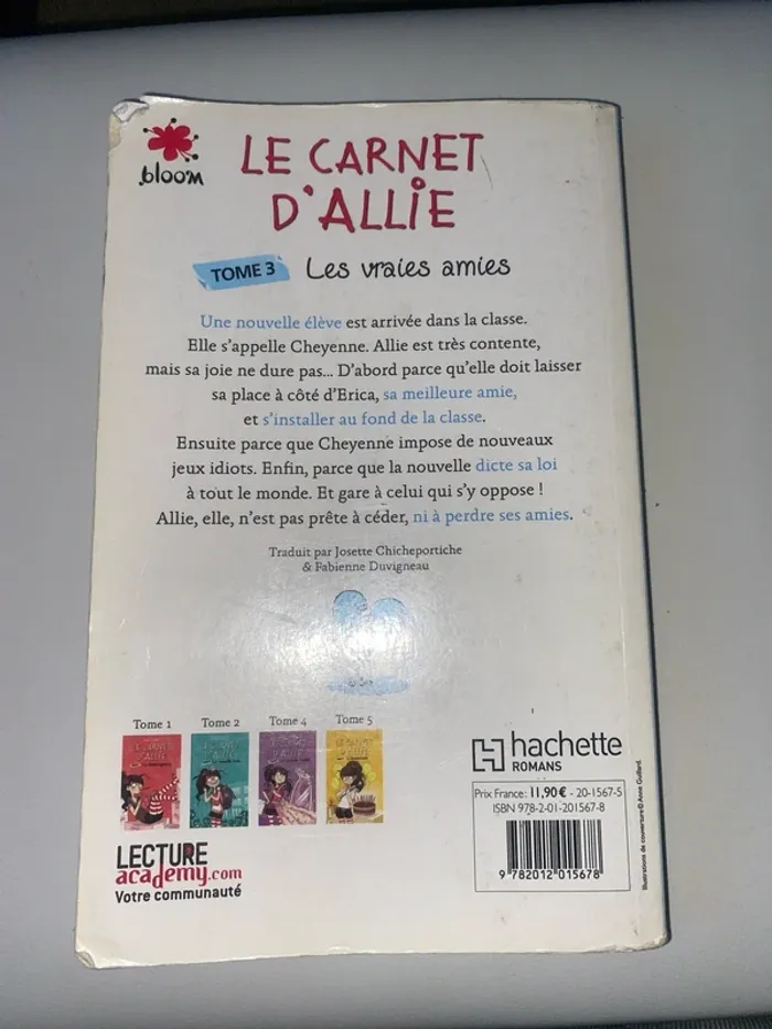 Le carnet d’Allie - photo numéro 4