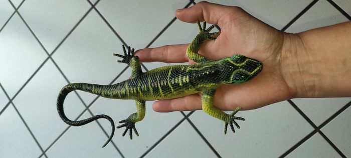 Grand lézard - photo numéro 3