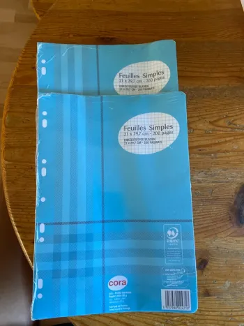 Lot de feuilles de classeur simples petits carreaux