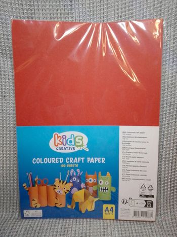 Papier de couleur A4 multicolore x100