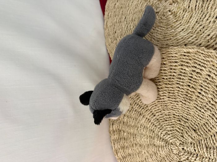 Peluche loup JUNGLE AVENUE gris beige - photo numéro 2