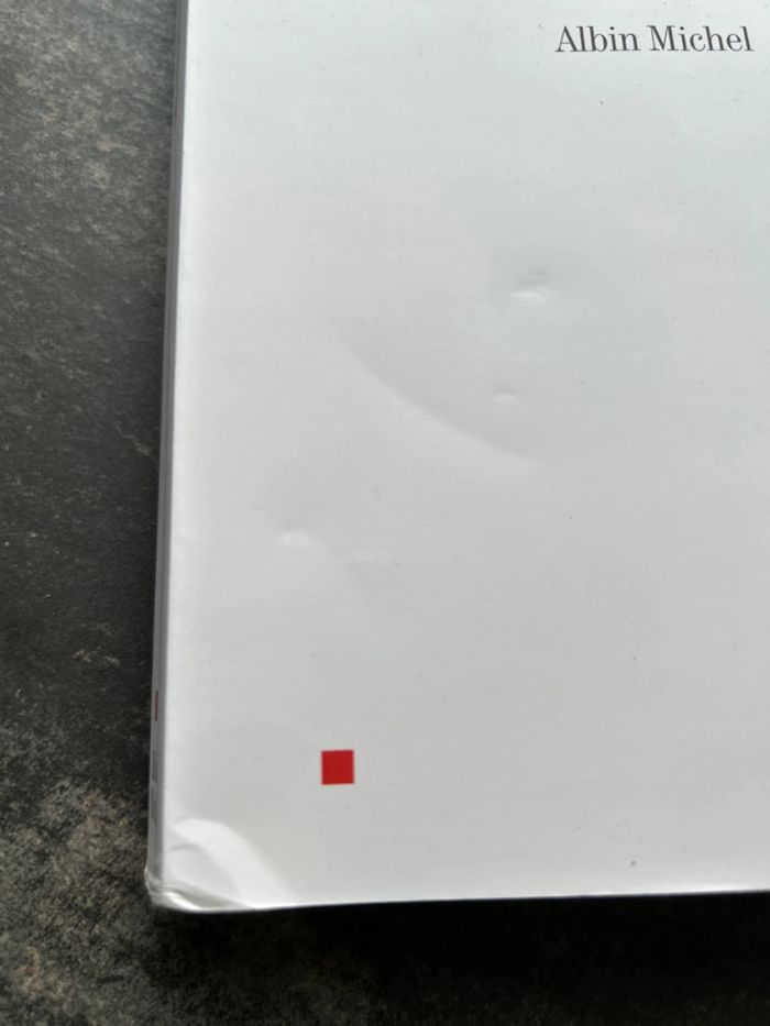 Muchachas tome 2 roman - photo numéro 3