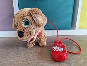 Chien télécommandé