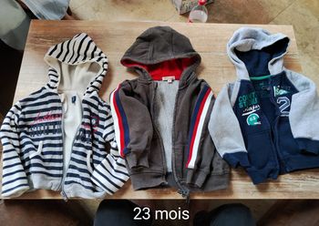 Lot Sweat à capuche zippé
