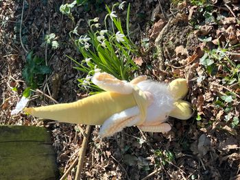 gnome de Pâques avec oreilles de lapin en vichy jaune et blanc