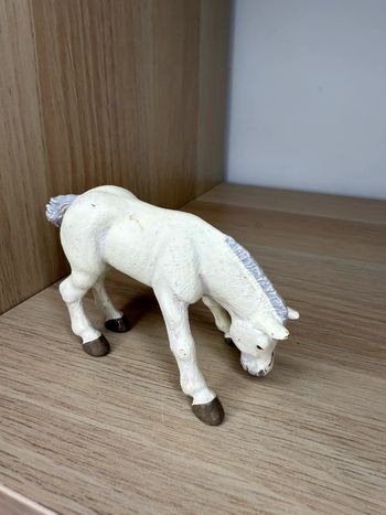 Poulain mangeant papo