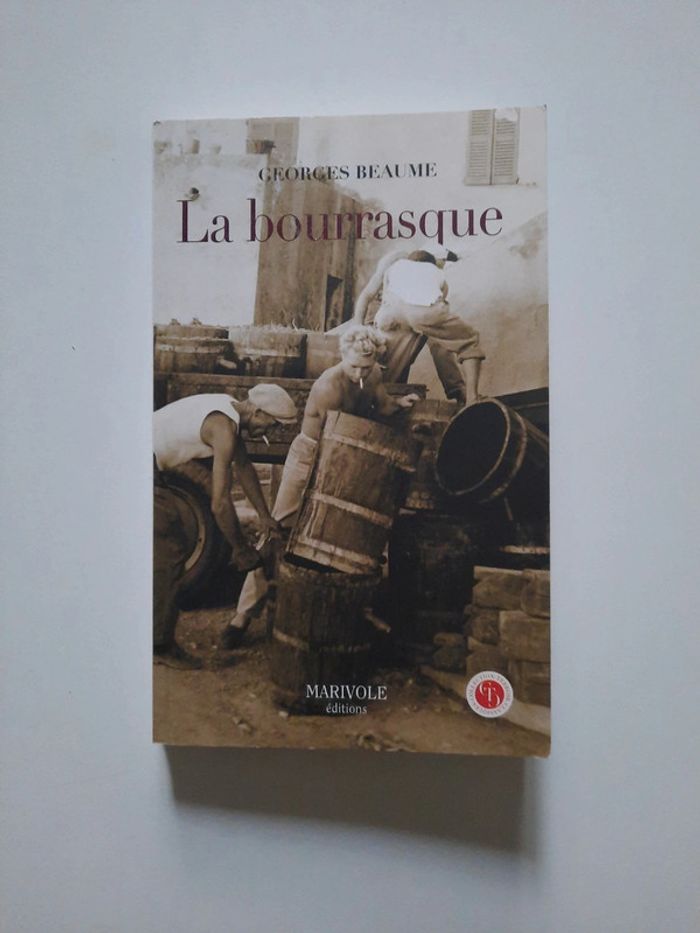 Livre La Bourrasque