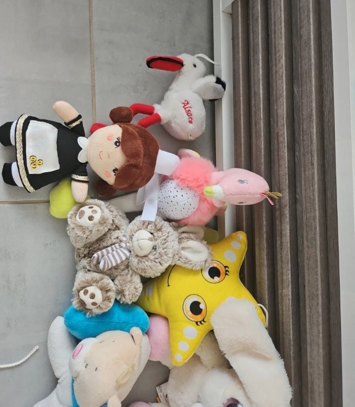Peluches - photo numéro 3