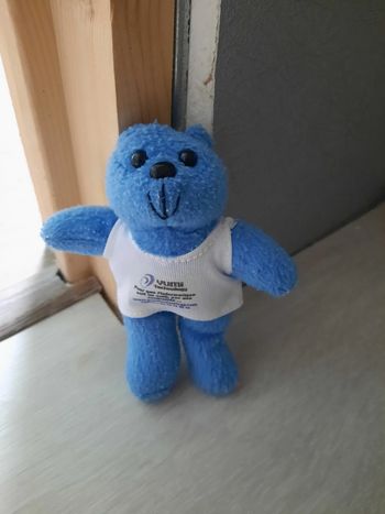 Petite peluche ours bleu