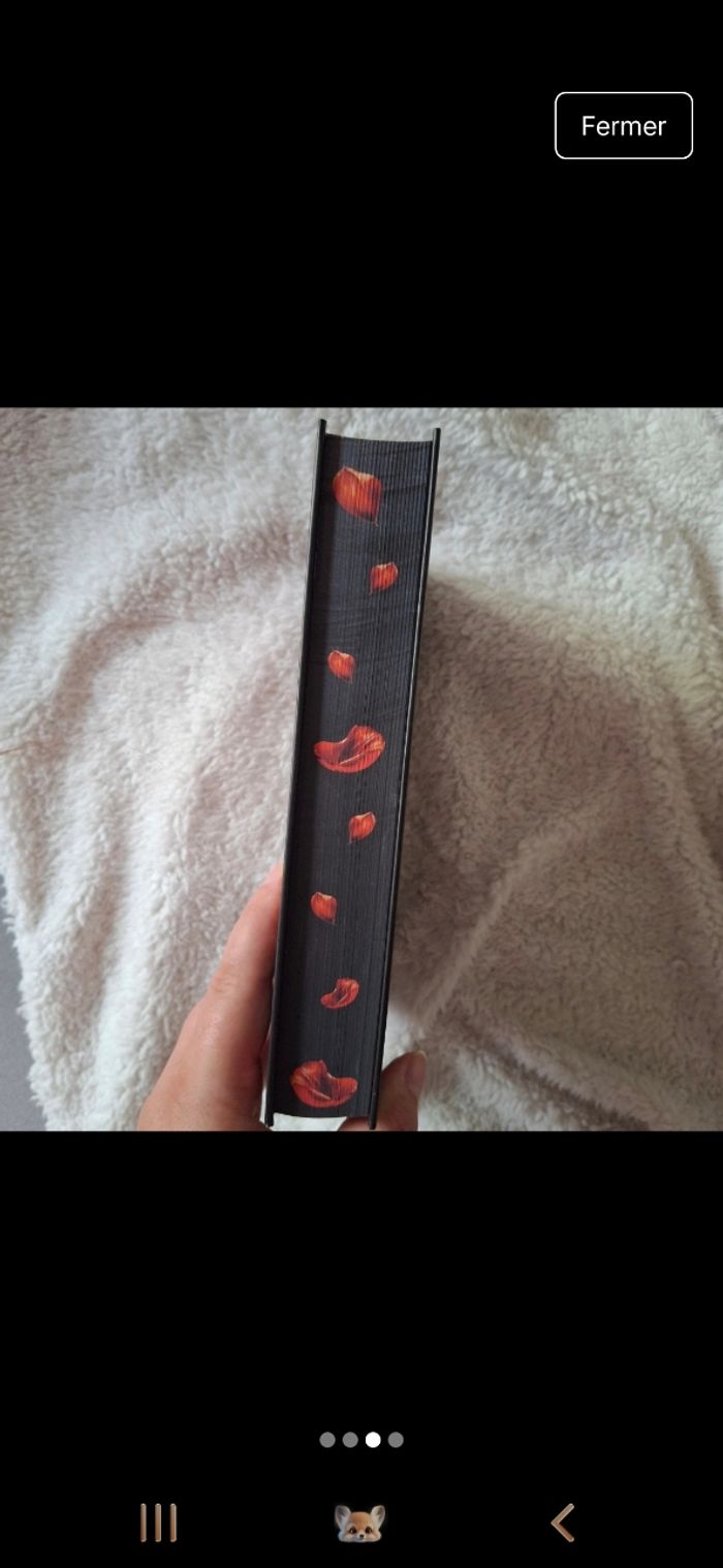 Dear Ava Collector - photo numéro 3