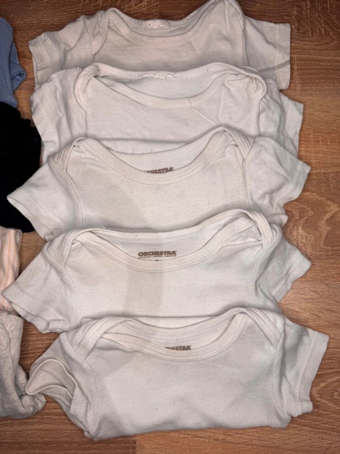 🌷Lot de 9 bodies bébé mixtes taille 6 mois🌷 - photo numéro 3