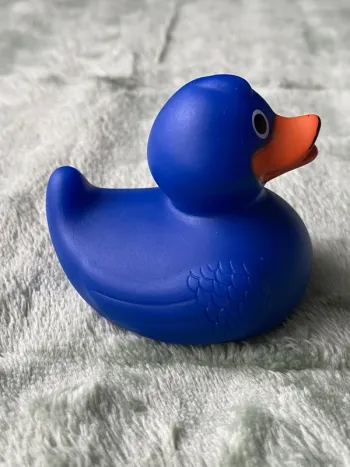 Canard de Collection Régate Royale de Henley 