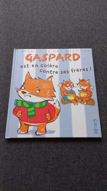 Livre Gaspard est en colère contre ses frères