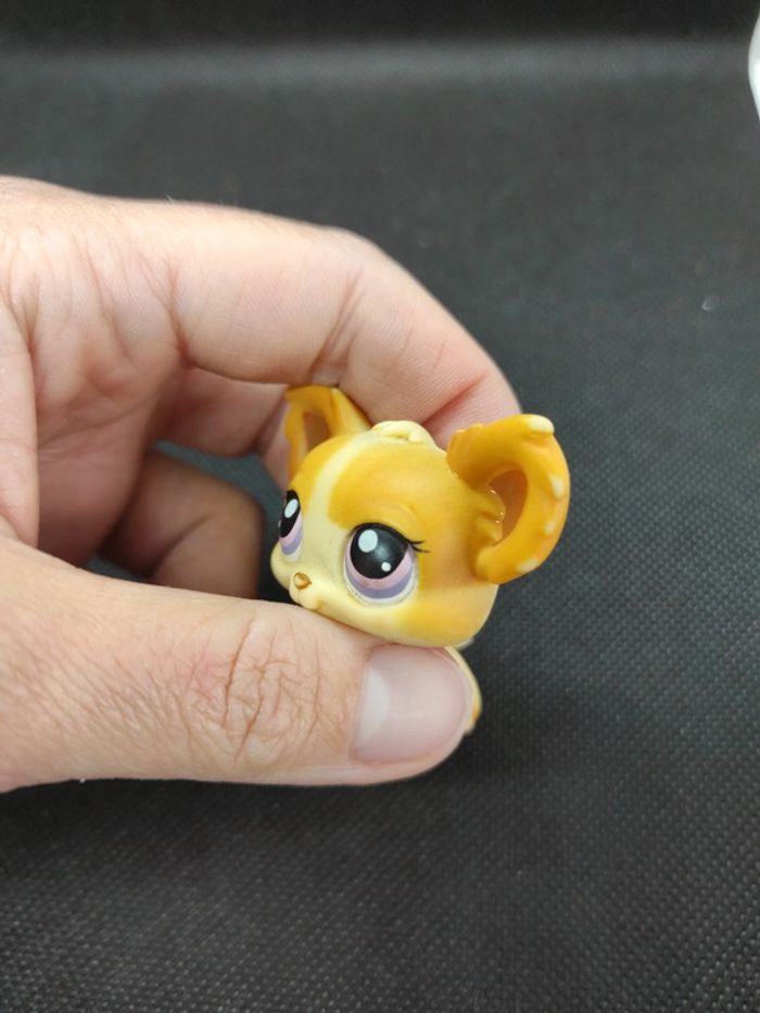 Littlest Petshop LPS dog chien papillon 96 chihuahua hasbro #geektradelpschien - photo numéro 8