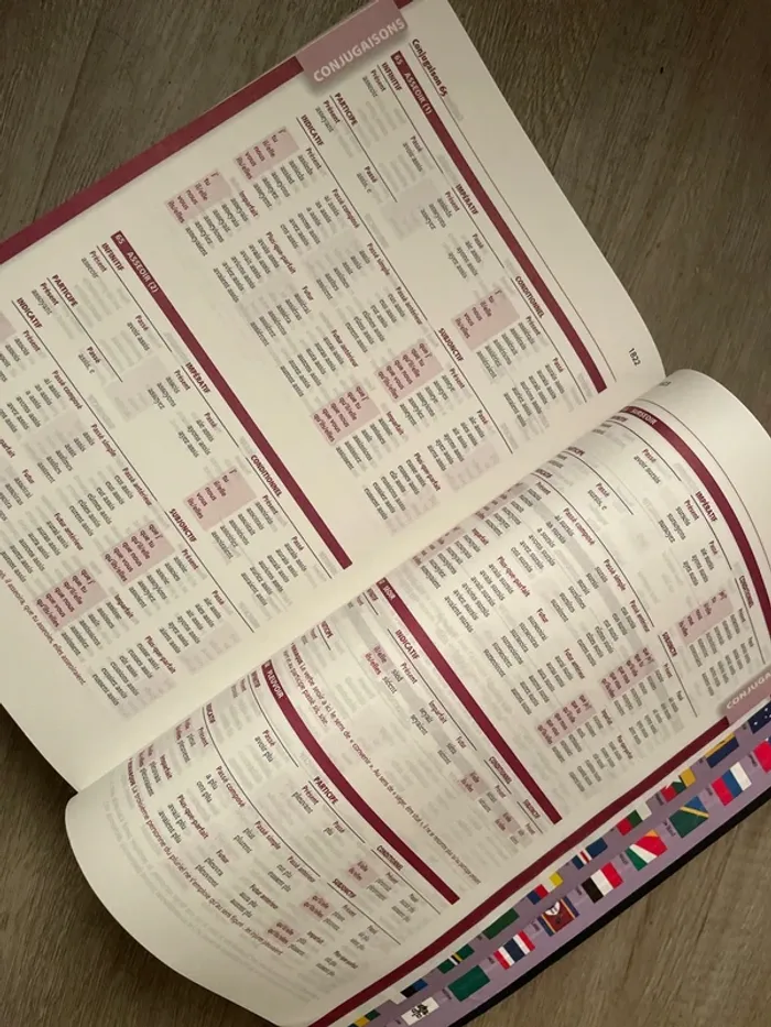 Dictionnaire du Collège Larousse - photo numéro 8