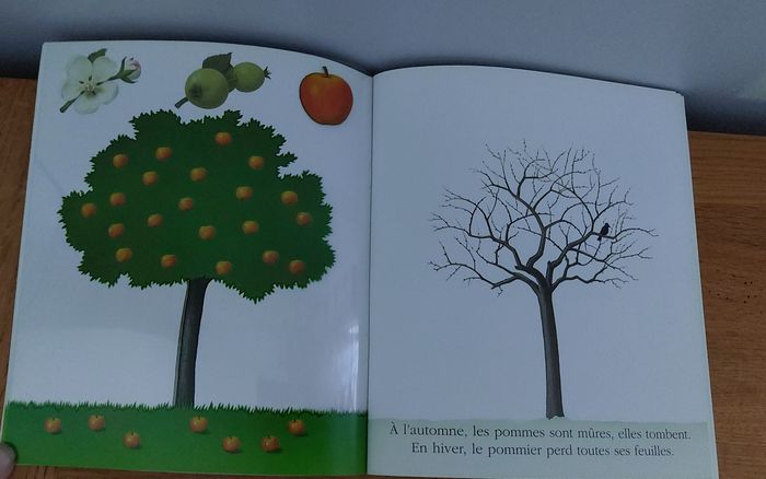 Cache cache avec Les fruits du jardin - photo numéro 4