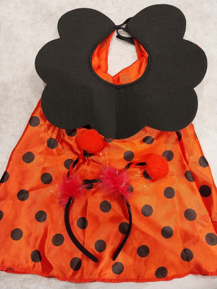 Deguisement enfant coccinelle - photo numéro 2