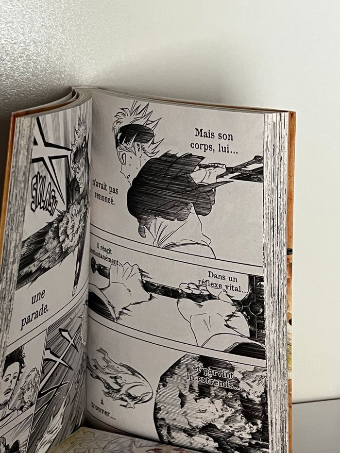 Lot de 2 mangas Black clover tome 1 et 2 - photo numéro 4