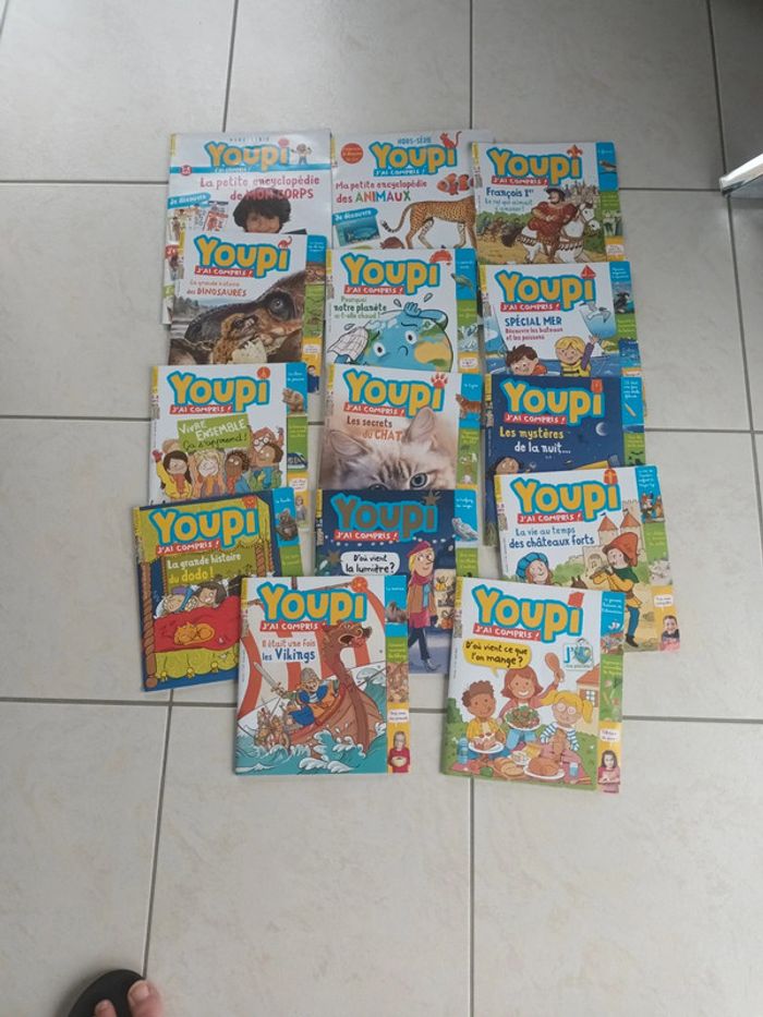 Lot de 14 magazines Youpi j'ai compris 5-8 ans