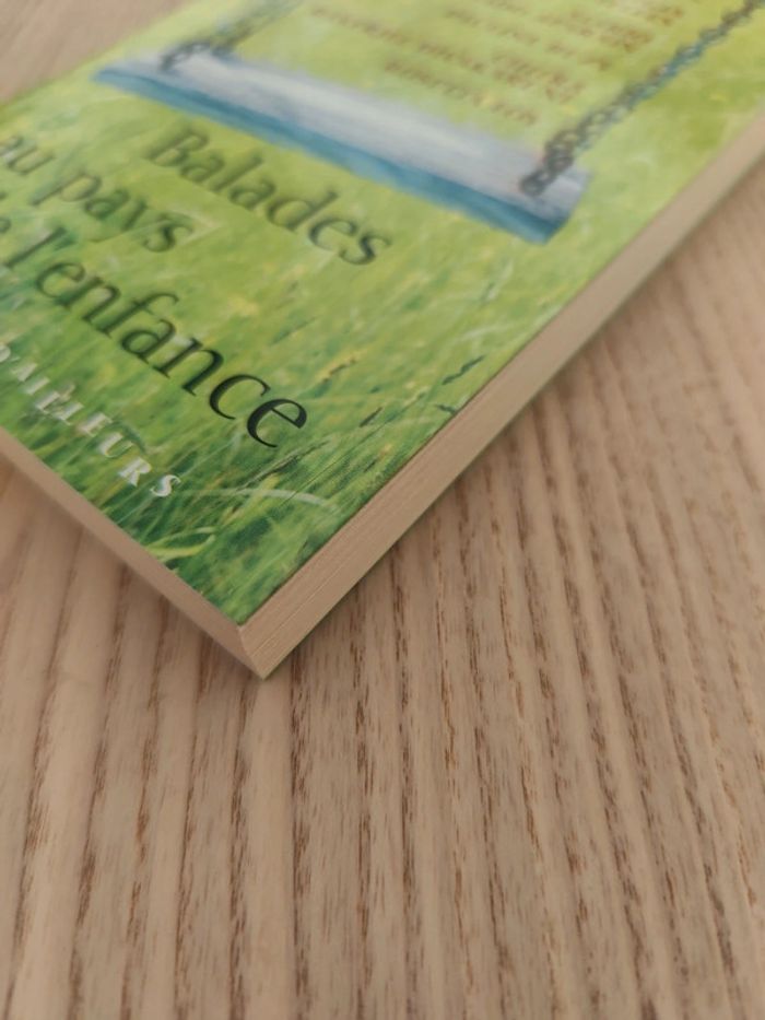 Livre balades au pays de l'enfance 2744178381 - photo numéro 3