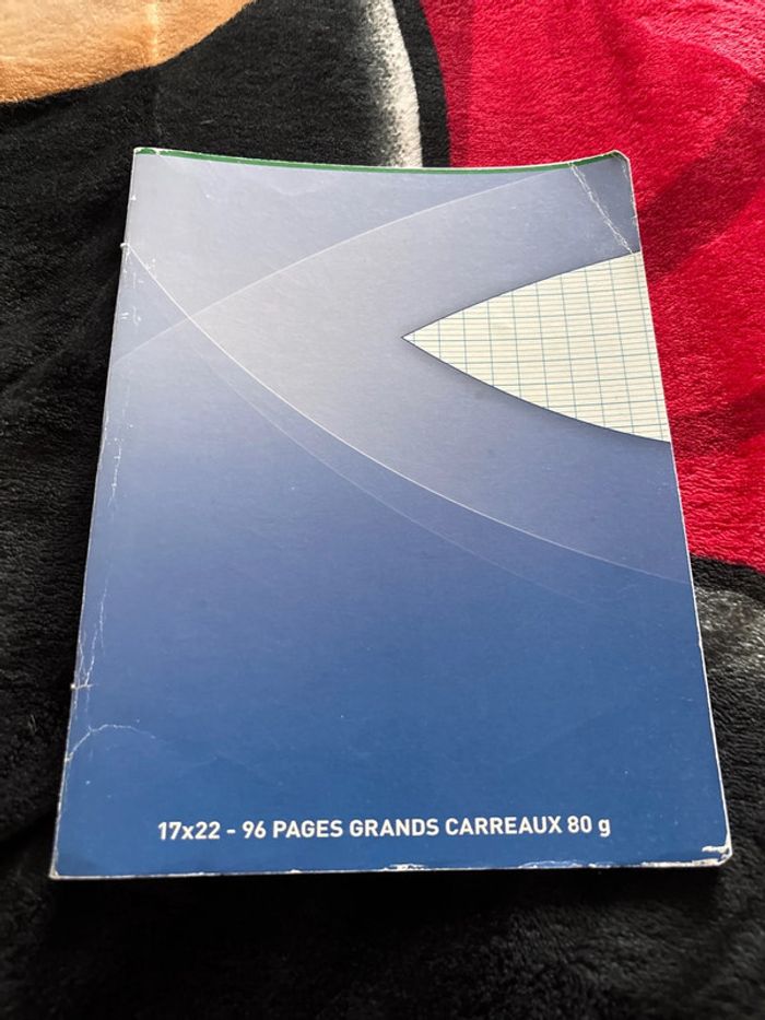 Lot cahier - photo numéro 11