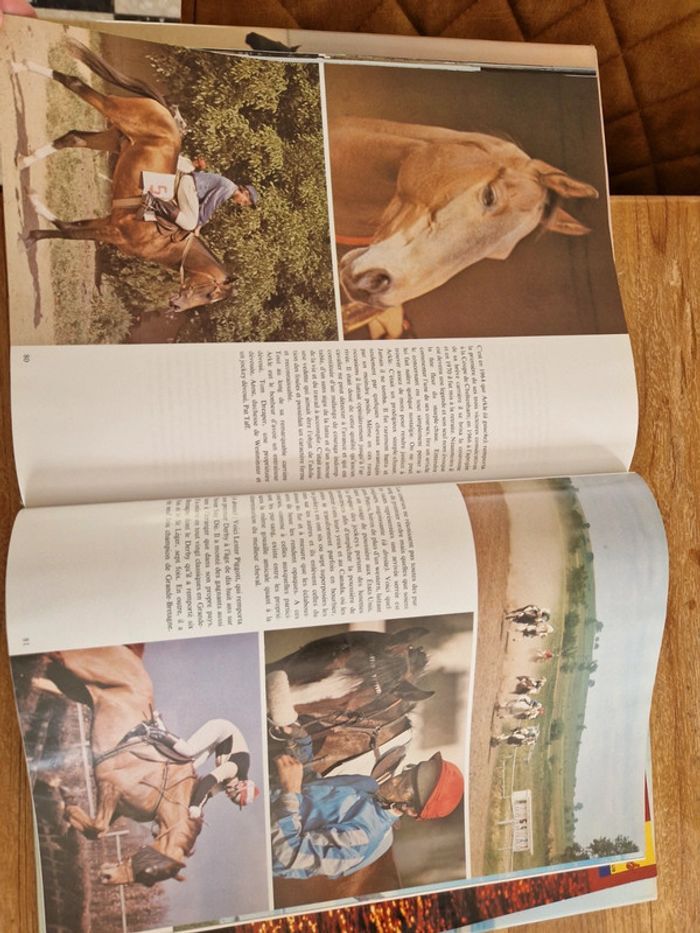 Livre la passion des chevaux - photo numéro 5