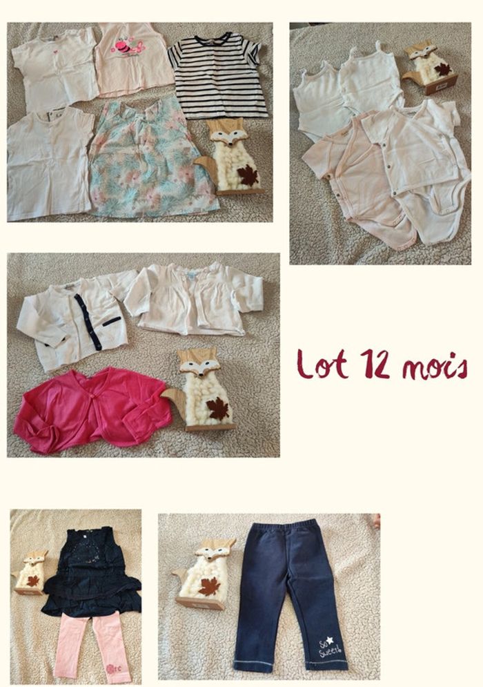 Lot 12 mois