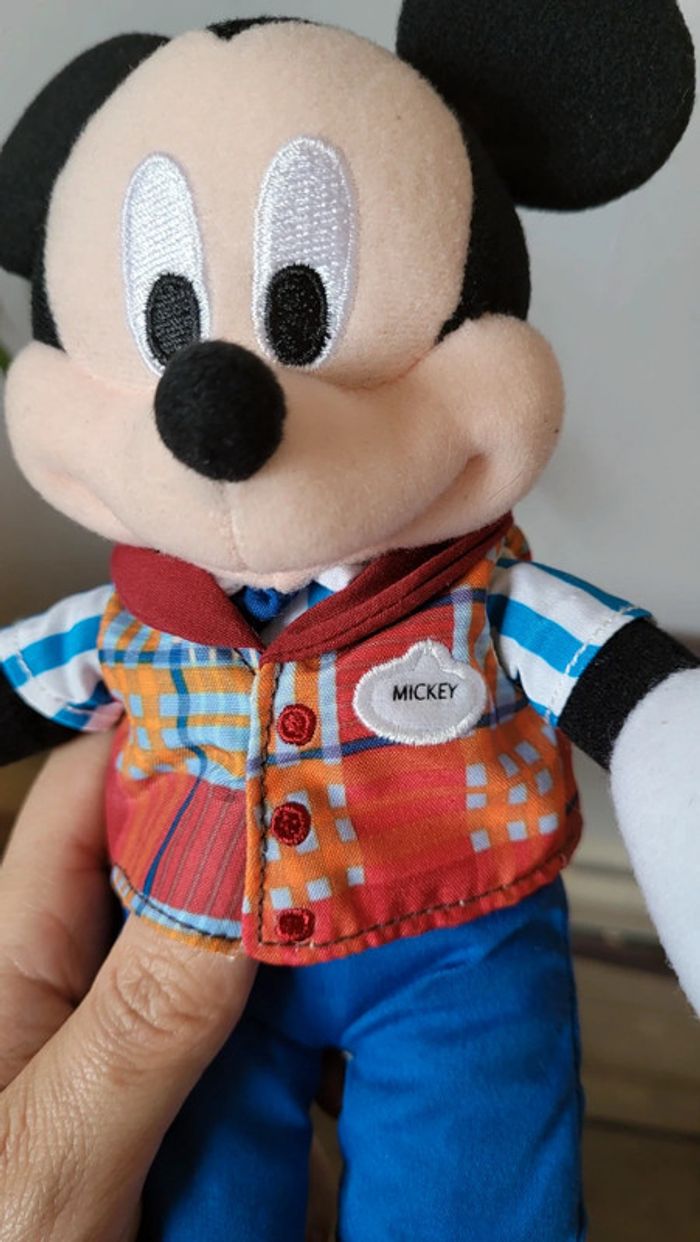 Mickey Cast Member - photo numéro 4