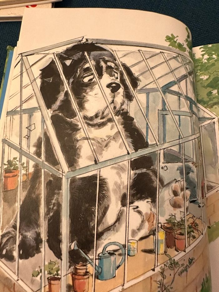 Livre vintage Caroline et le jardin potager ensorcelé Pierre Probst Hachette album - photo numéro 9