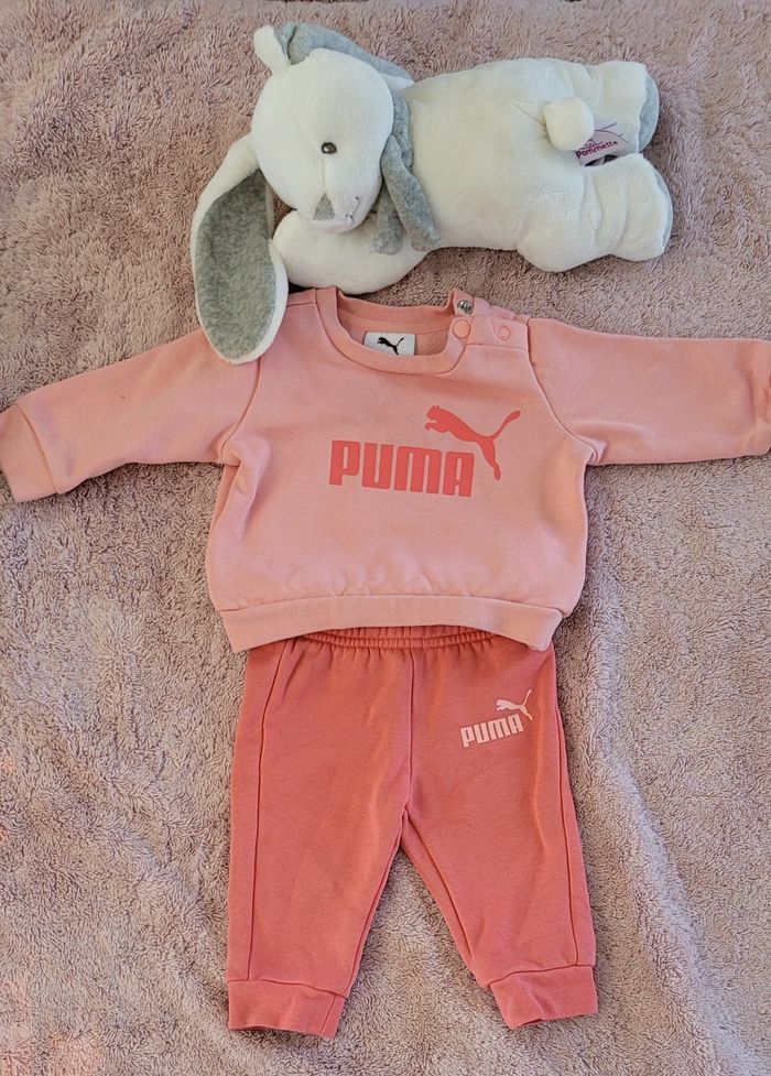 Puma